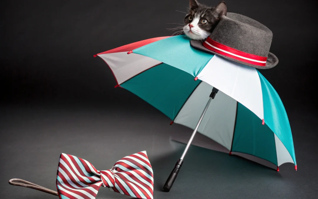 Cat in the Hat Costume Tips for DTC Brands and Sellers